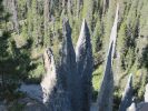 PICTURES/Crater Lake National Park - Overlooks and Lodge/t_IMG_6286.jpg